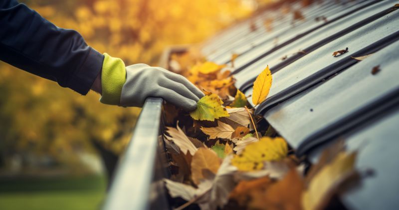 Fall Gutter Maintenance