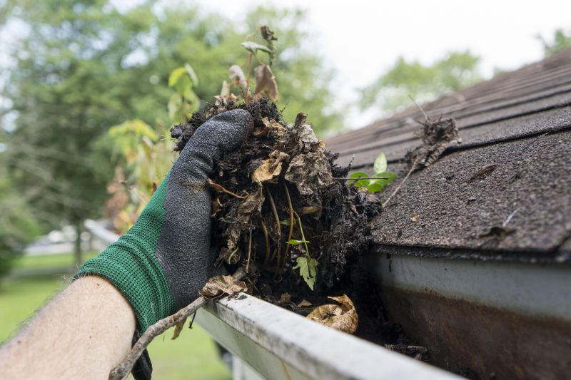 Clearing Gutter Debris